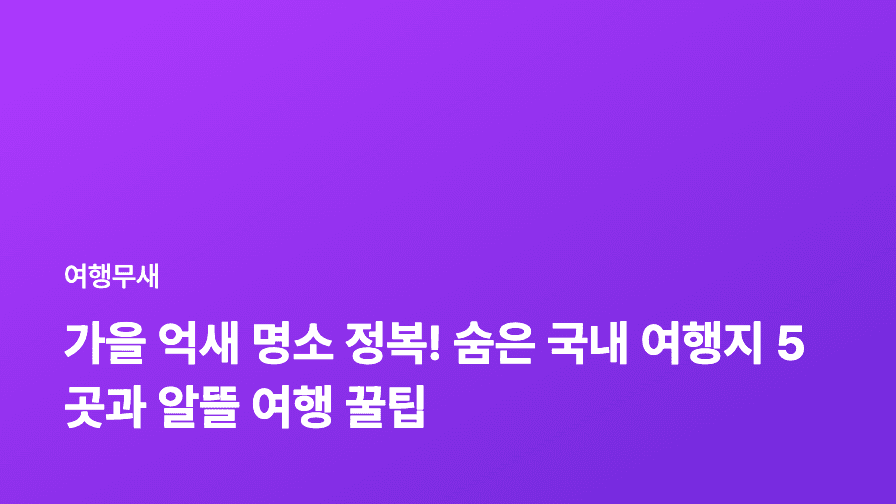 가을 억새 명소 정복! 숨은 국내 여행지 5곳과 알뜰 여행 꿀팁