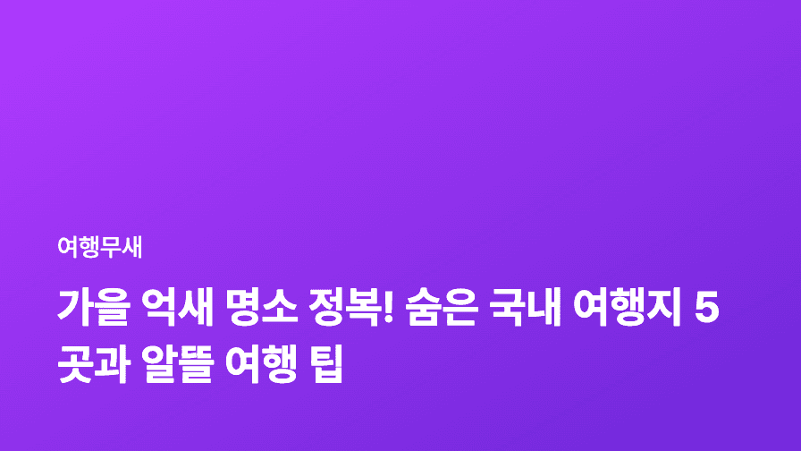 가을 억새 명소 정복! 숨은 국내 여행지 5곳과 알뜰 여행 팁
