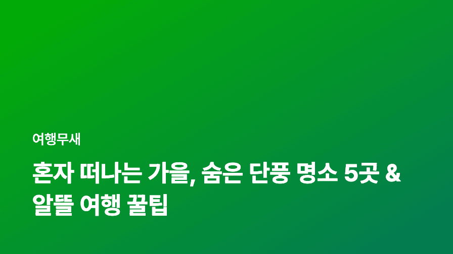 혼자 떠나는 가을, 숨은 단풍 명소 5곳 & 알뜰 여행 꿀팁