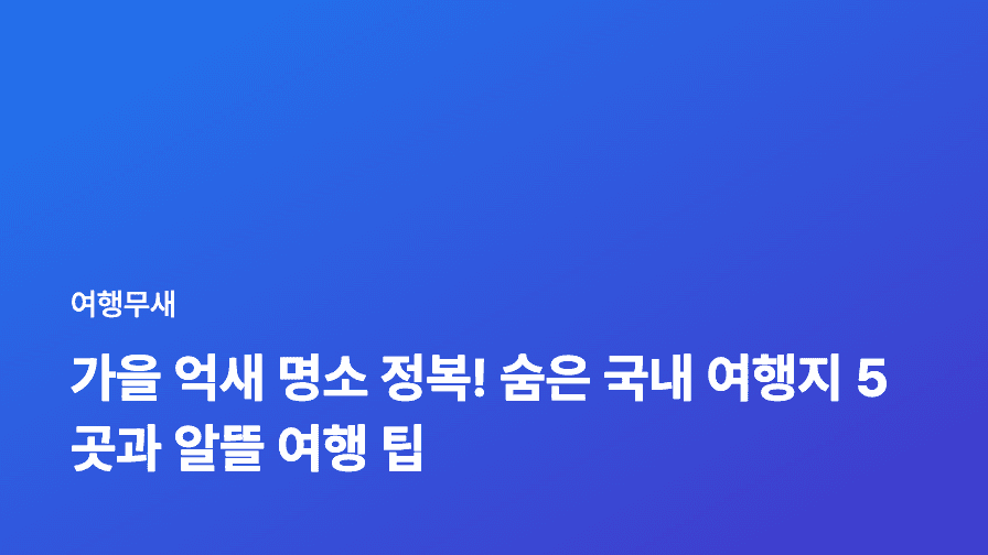 가을 억새 명소 정복! 숨은 국내 여행지 5곳과 알뜰 여행 팁