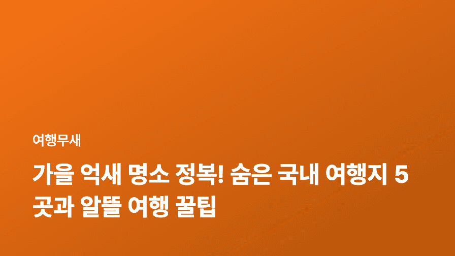가을 억새 명소 정복! 숨은 국내 여행지 5곳과 알뜰 여행 꿀팁