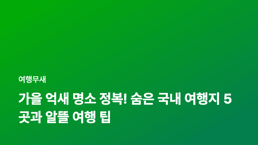 가을 억새 명소 정복! 숨은 국내 여행지 5곳과 알뜰 여행 팁