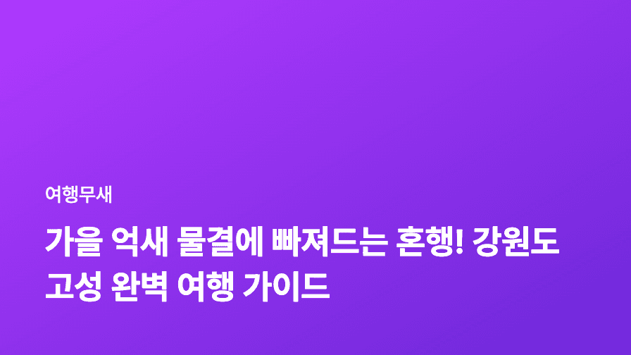 가을 억새 물결에 빠져드는 혼행! 강원도 고성 완벽 여행 가이드