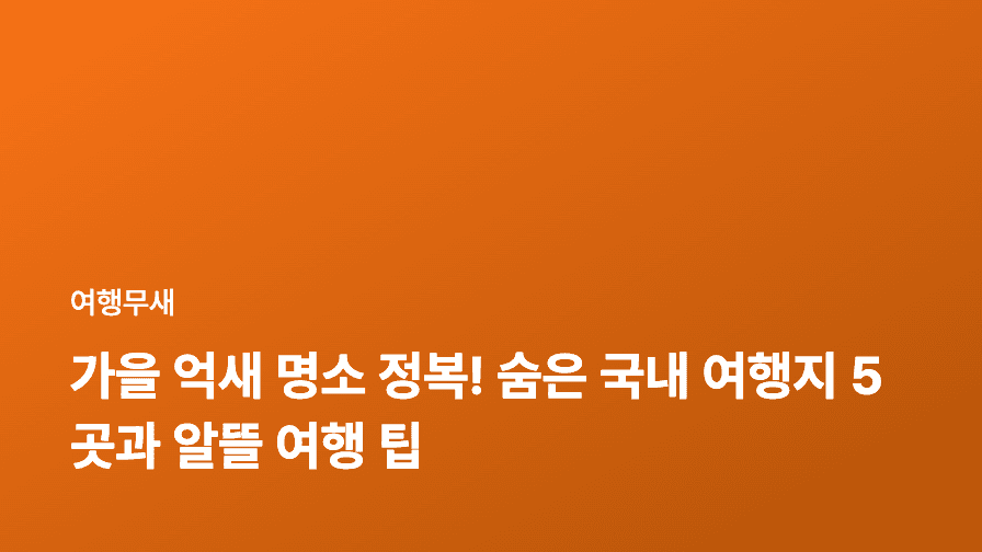 가을 억새 명소 정복! 숨은 국내 여행지 5곳과 알뜰 여행 팁