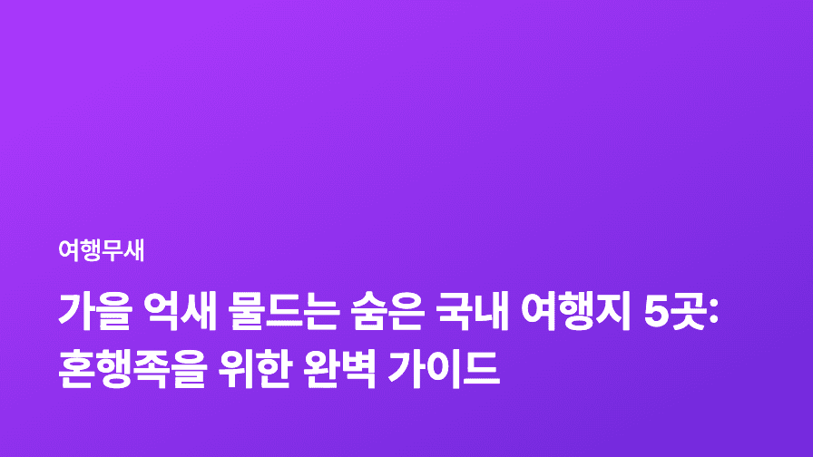 가을 억새 물드는 숨은 국내 여행지 5곳: 혼행족을 위한 완벽 가이드